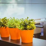 Szálloda Ecotel 3*